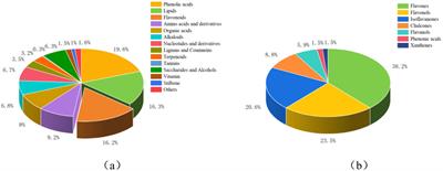 Effects of exogenous calcium on flavonoid biosynthesis and accumulation in peanut roots under salt stress through multi-omics